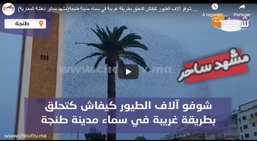 اضغط على الصورة لرؤيتها بالحجم الطبيعي